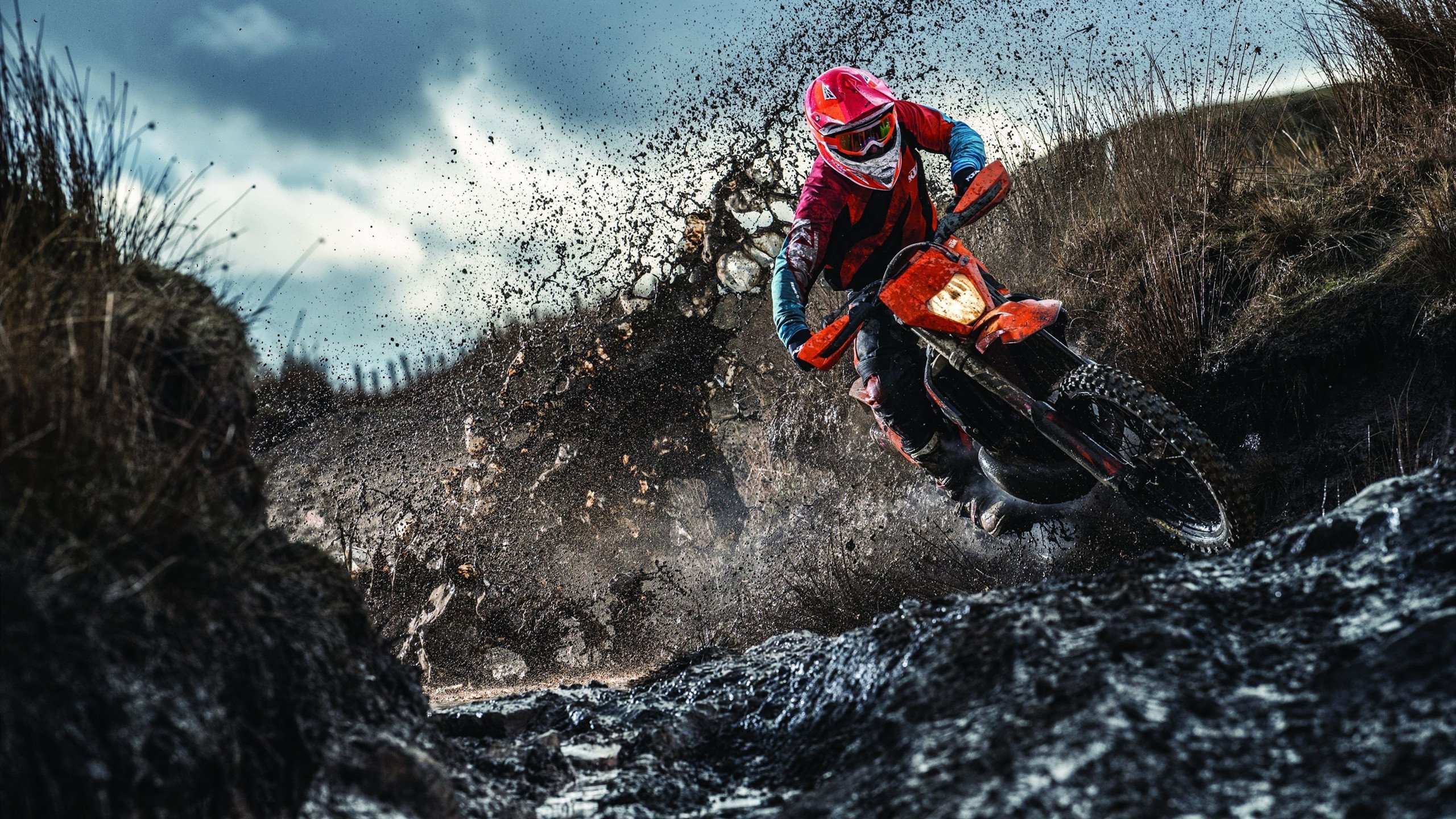 赛道上的三分雨，F1揭幕战之夜，库里如何成为全场焦点